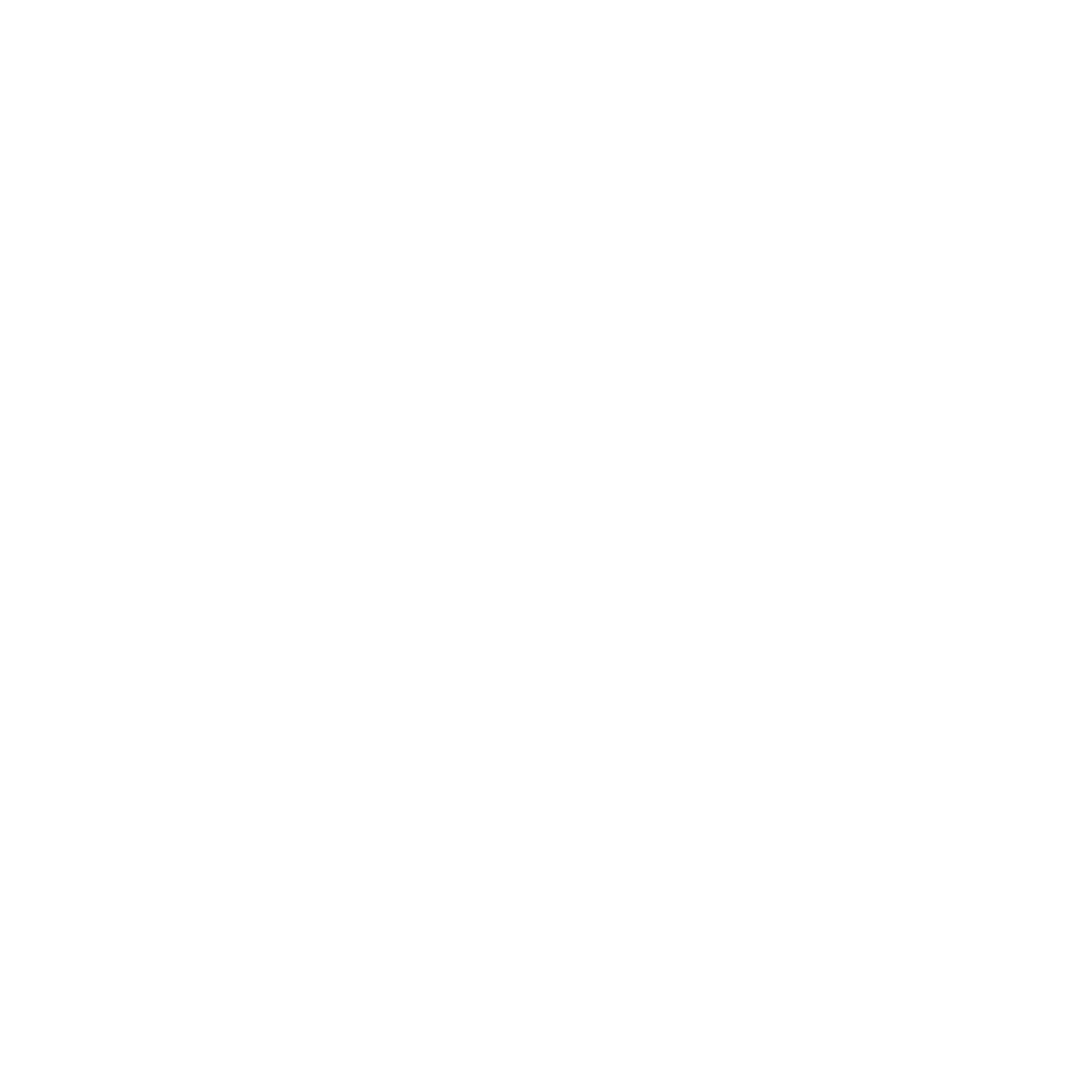Internatıonal Busıness Consultancy